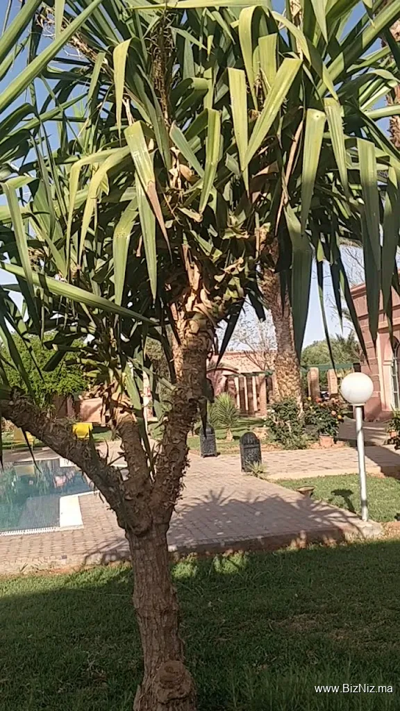 Hôtel Le Riad