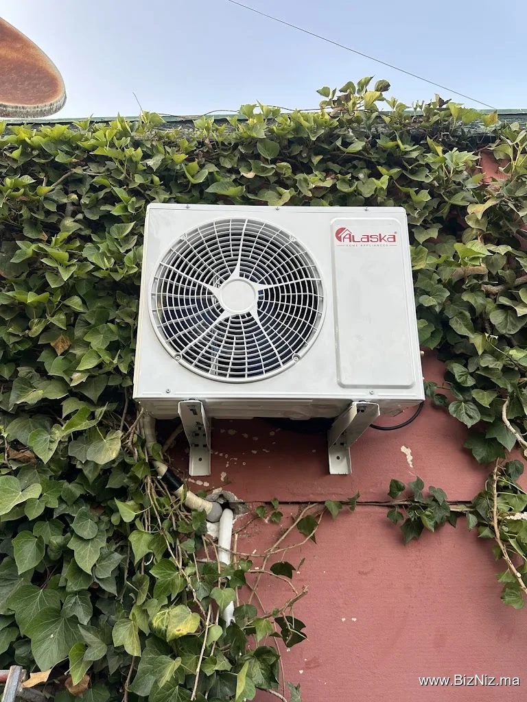 Électron riyad