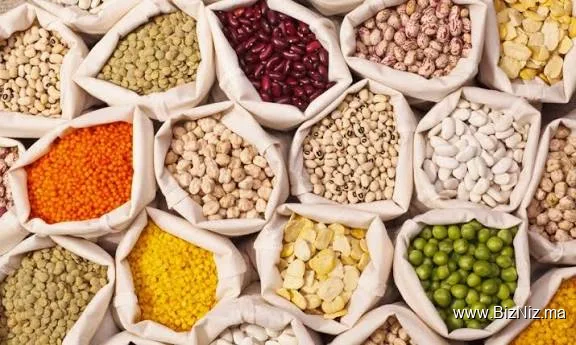 • متجر بقالة بوجمعة • ÉPICERIE BOUJEMAA.B