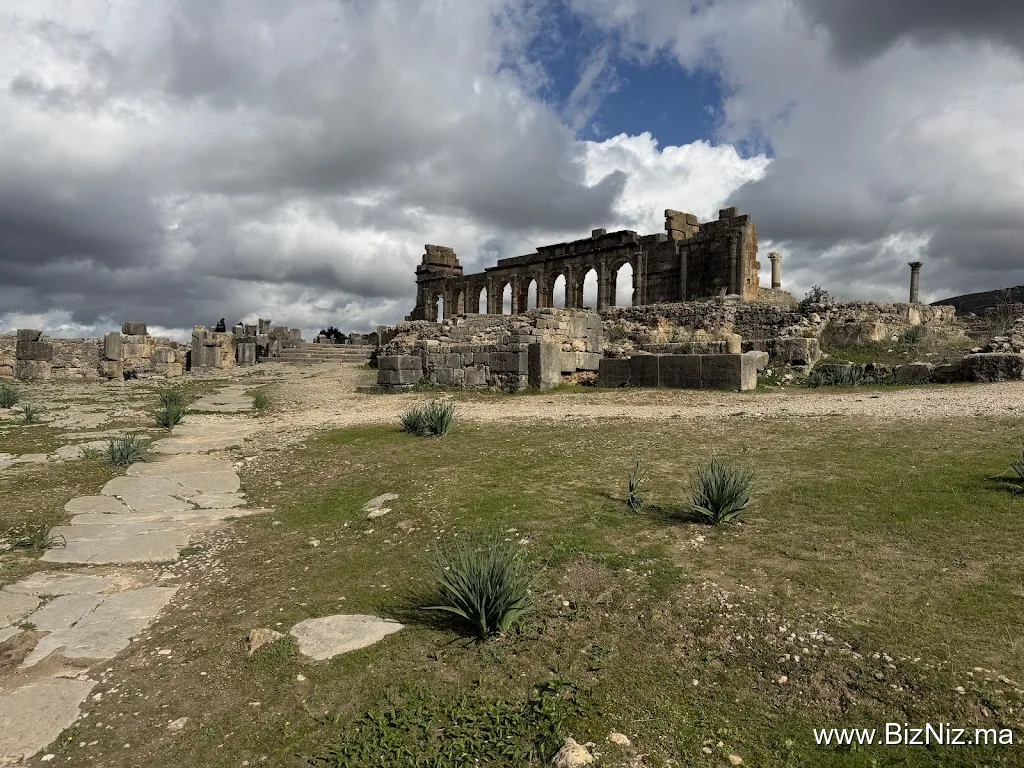 Site Archéologique de Volubilis