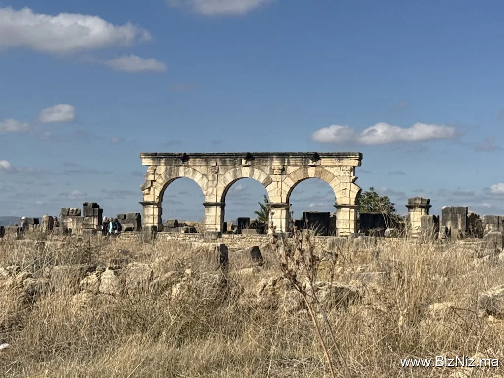 Site Archéologique de Volubilis