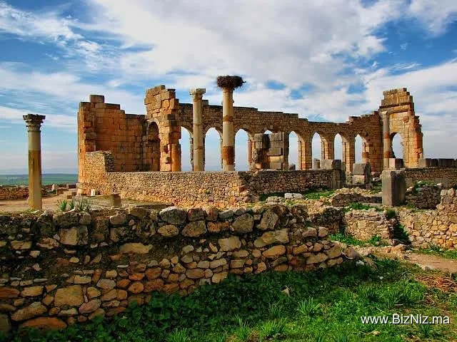 Site Archéologique de Volubilis