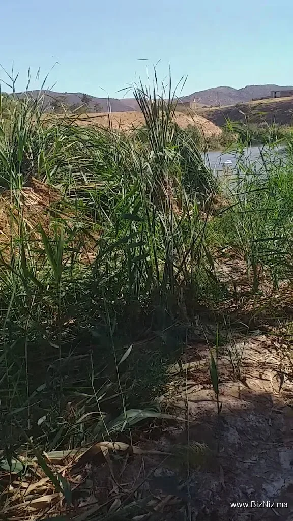 khenifra