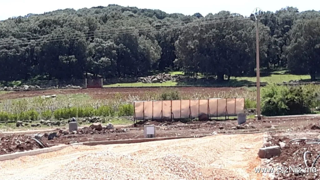 Lotissement Les Jardins de Vittel - Tizguit