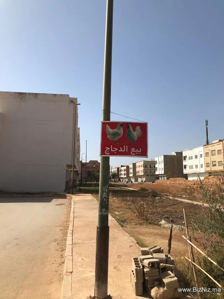 بيع الدجاج