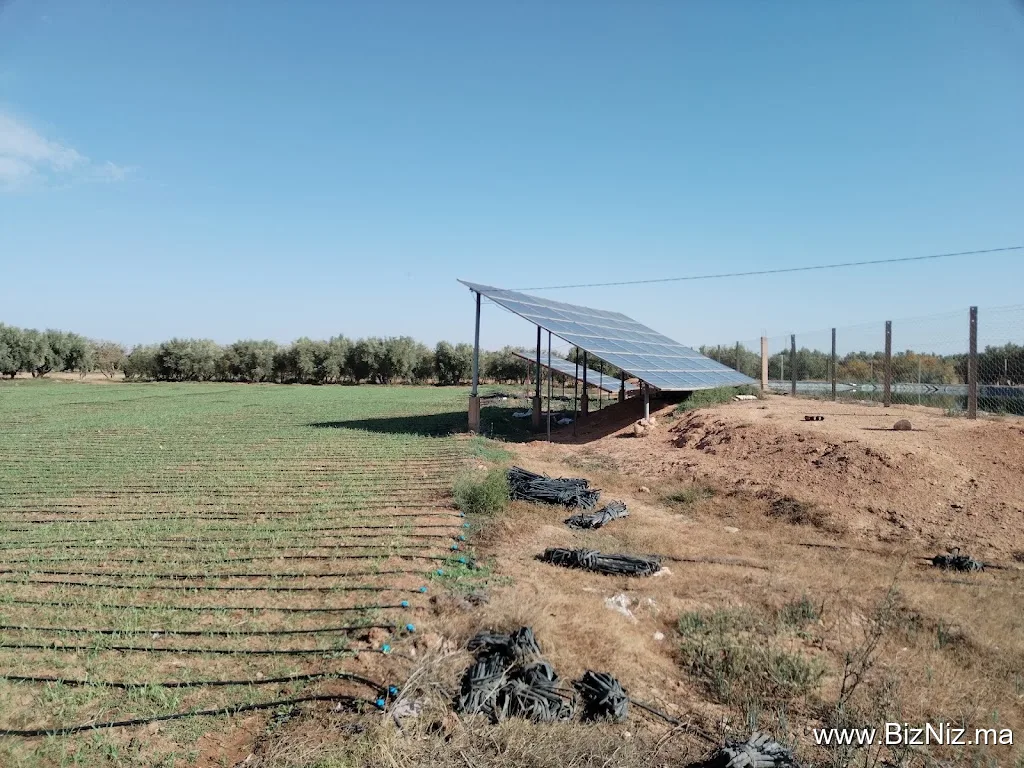 NOHA Irrigation sarl : Société Nationale des Outils Hydro-Agricoles