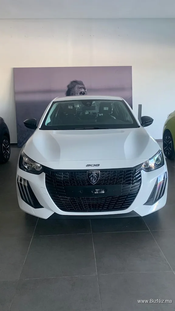 ELASSALI CAR