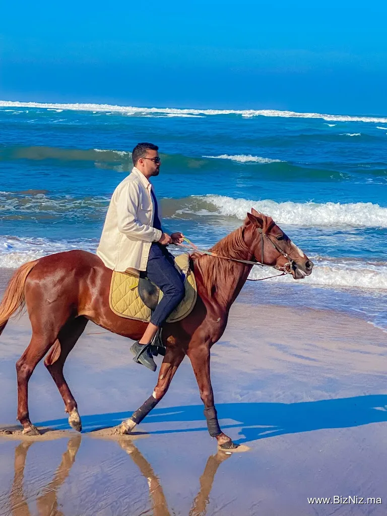 Hamza Reguiai Cheval équitation
