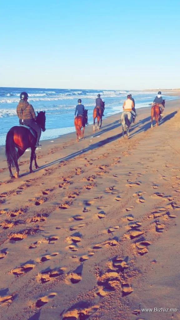 Hamza Reguiai Cheval équitation