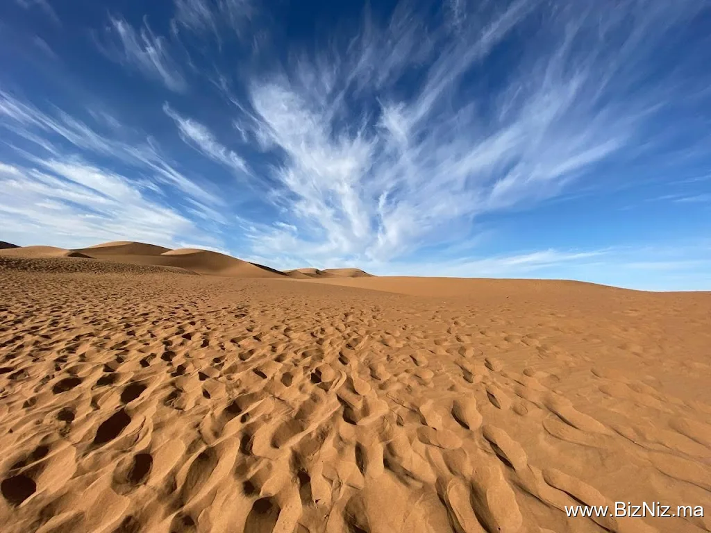 Circuits Desert Foum Zguid