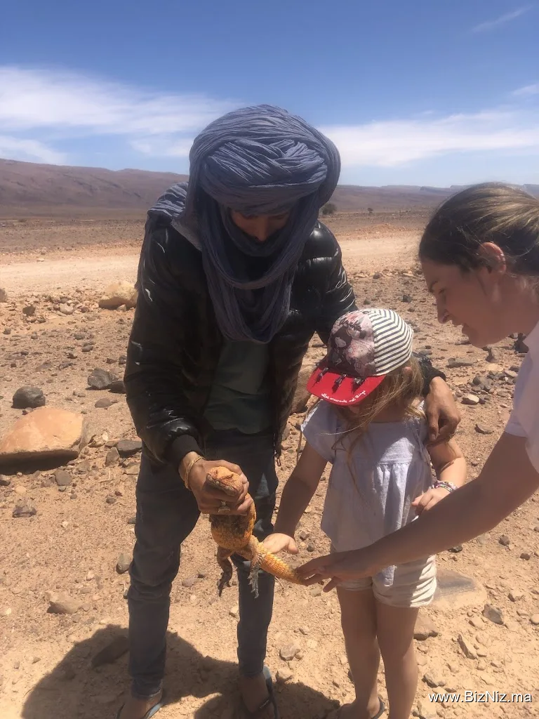 Circuits Desert Foum Zguid