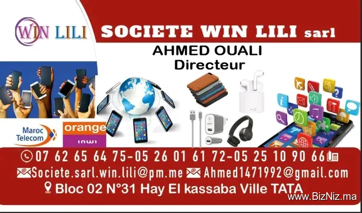 SOCIETE WIN LILI SARL