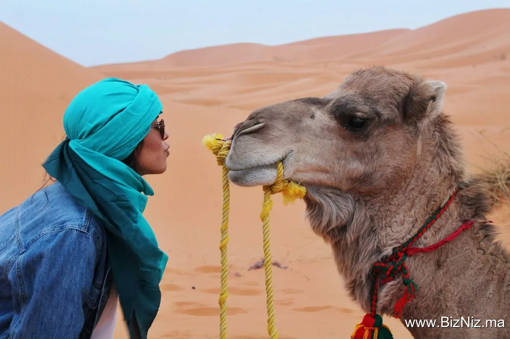 Yasmina Morocco Tours