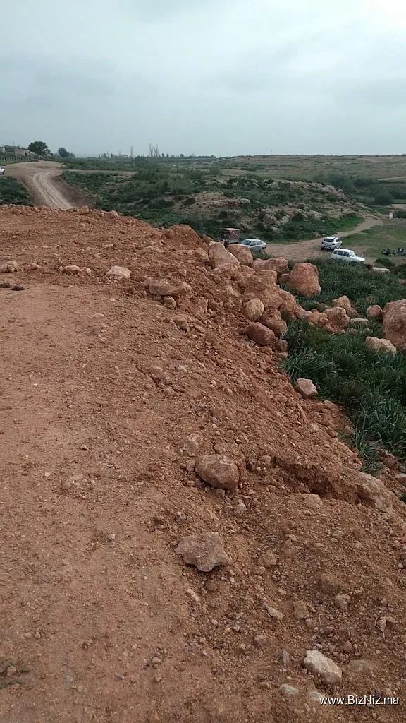 عين كرمة