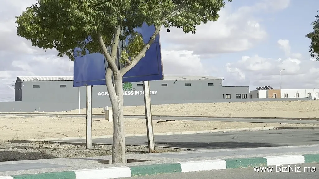 معمل الفول السوداني agri business industriy